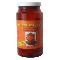Curcumax/Curcumine 90 gélules