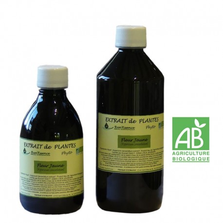 Fleur jaune 310 et 530 ml