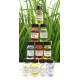 Eucalyptus - Ext. Parfum aux H.E 15ml