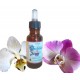 Elixir d'Orchidée Flacon de 20 ml