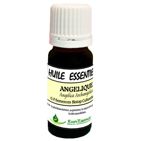 Angélique 3ml - Angelica archangelica