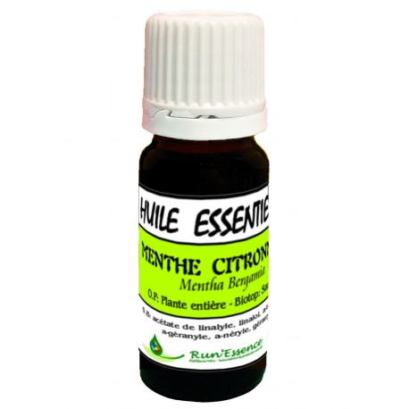 Menthe Citronnée 10ml - Mentha ciotrata