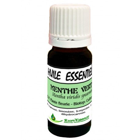 Menthe Spéarmint (verte) 10ml - Mentha viridis spearmint
