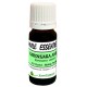 Ravensara Anisata (écorce) 10ml - Ravensara anisata