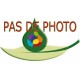 Gaiac (bois de ) 10ml - Guaiacum officinalis