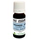 Lavande Aspic 5ml - Lavandula spica
