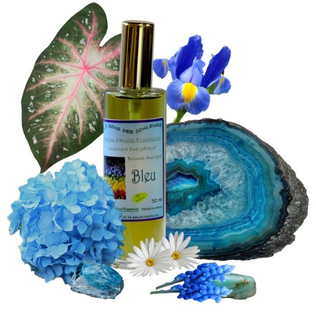 Parfums de l'Emotionnel BLEU 50 ml