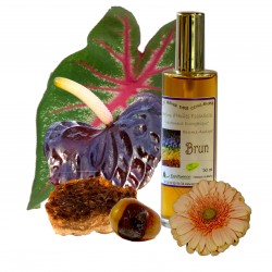 parfum de l'émotionnel - Brun