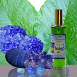 Parfums de l'Emotionnel INDIGO 50 ml
