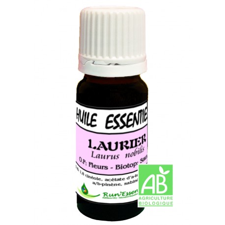 Laurier AB 5 ml - Laurus nobilis