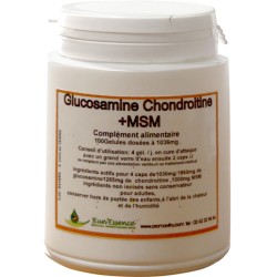 Glucosamine/Chondroitine + MSM 100 gélules